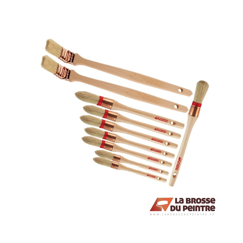 Pack de 10 brosses SOLVPREM LBDP