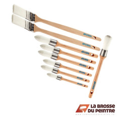 Pack de 10 brosses AQUAPREM S2F LBDP