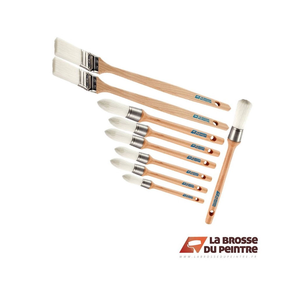 Pack de 10 brosses AQUAPREM S2F LBDP