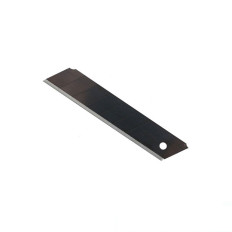 Boîte de 10 lames 25mm Razar Black Tajima