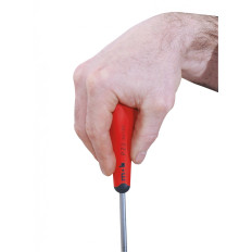 Jeu de 10 tournevis avec réglette