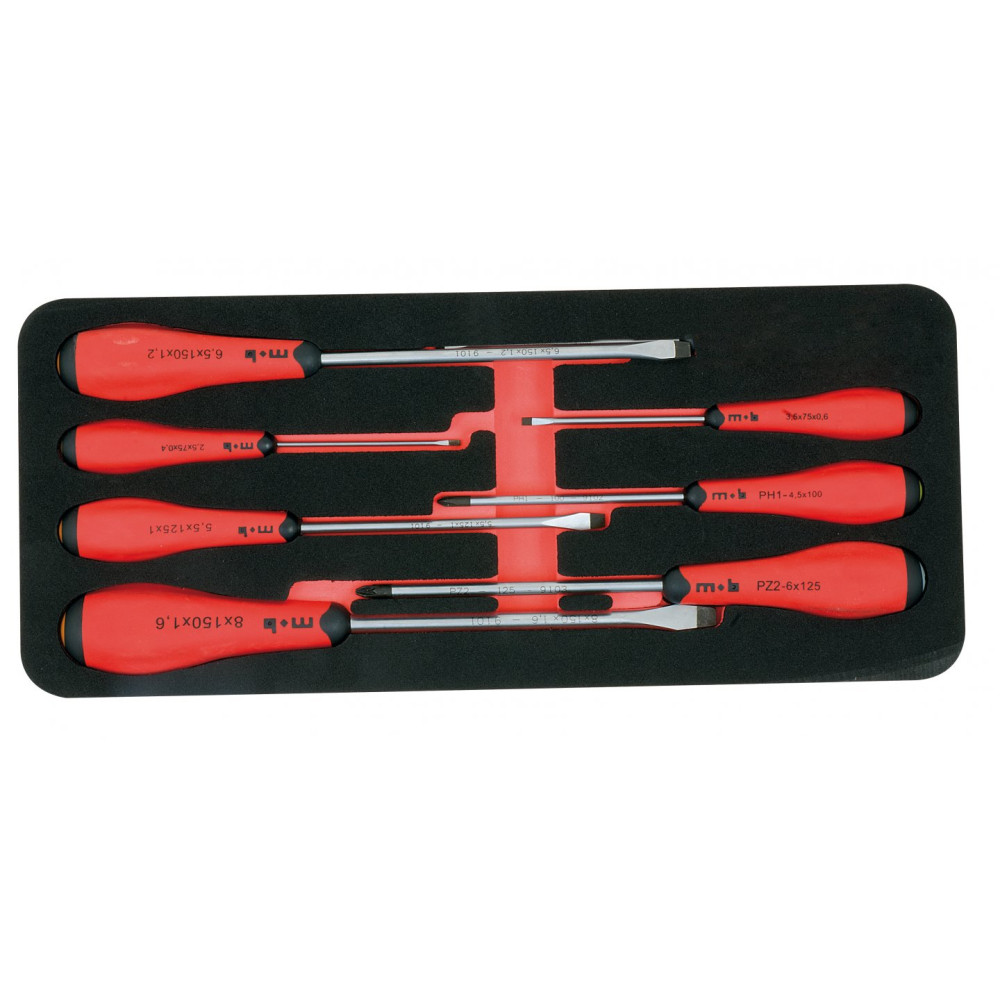 Module mousse 7 tournevis torx