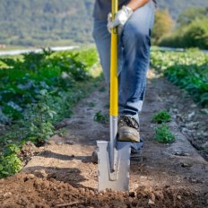 Louchet de pépiniériste - 40 cm manche béquille Novagrip Louchet de pépiniériste - 40 cm manche béquille Novagrip