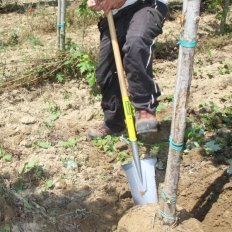 copy of Louchet transplantation Duopro - 33 cm manche béquille Novagrip