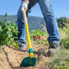 Houe Duopro douille ovale 52x35 forgée 14 cm manche bois 130cm PEFC 100%