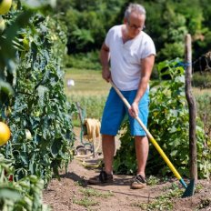 Binette japonaise Naturovert manche bois 150cm certifié PEFC 100%