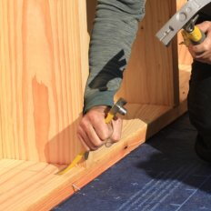 Arrache-clous 25 cm Sylvapro - Leborgne