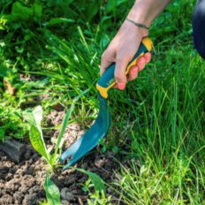Couteau désherbeur Duopro manche bi-matière - Leborgne