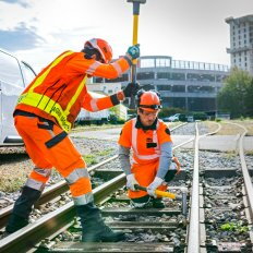 Enfonce chevilles Nanovib 20 mm - Leborgne