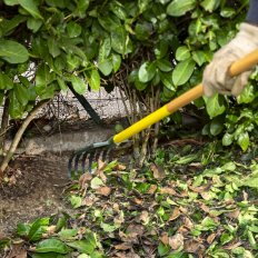 Balai à haies XR1 Duopro – Dents remplaçables pour zones difficiles - Leborgne