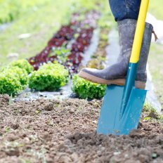 Bêche à Rebord Duopro manche béquille Metalgrip - Leborgne